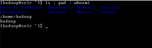 ls;pwd;whoami commands
