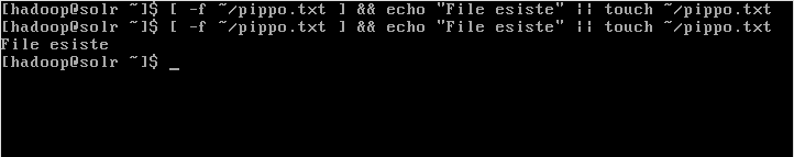 [ -f ~/pippo.txt ] && echo “File esiste.” || touch ~/pippo.txt commands